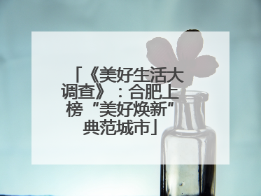 《美好生活大调查》：合肥上榜“美好焕新”典范城市