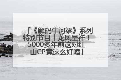 《解码牛河梁》系列特别节目丨龙凤呈祥！5000多年前这对红山CP竟这么好嗑