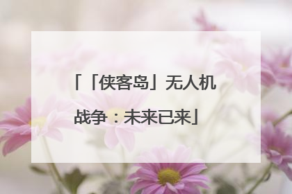 「侠客岛」无人机战争：未来已来