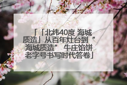 「北纬40度 海城质造」从百年灶台到“海城质造” 牛庄馅饼老字号书写时代答卷