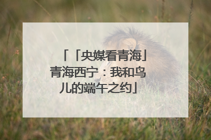 「央媒看青海」青海西宁：我和鸟儿的端午之约