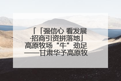 「强信心 看发展·招商引资拼落地」高原牧场“牛”劲足——甘肃华予高原牧场高标准奶牛肉牛养殖项目一线见闻