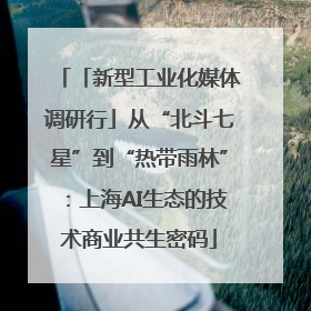 「新型工业化媒体调研行」从“北斗七星”到“热带雨林”：上海AI生态的技术商业共生密码