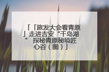 「旅发大会看青原」走进吉安“千岛湖” 探秘青原秘境匠心谷（图）