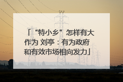“特小乡”怎样有大作为 刘亭：有为政府和有效市场相向发力