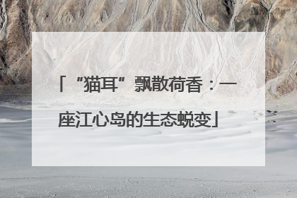 “猫耳”飘散荷香：一座江心岛的生态蜕变