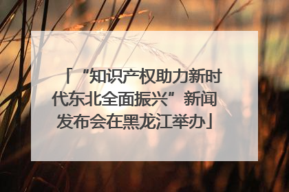 “知识产权助力新时代东北全面振兴”新闻发布会在黑龙江举办