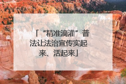 “精准滴灌”普法让法治宣传实起来、活起来