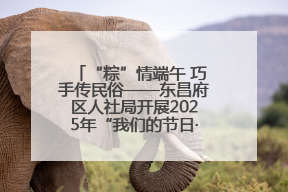 “粽”情端午 巧手传民俗——东昌府区人社局开展2025年“我们的节日·端午”包粽子活动