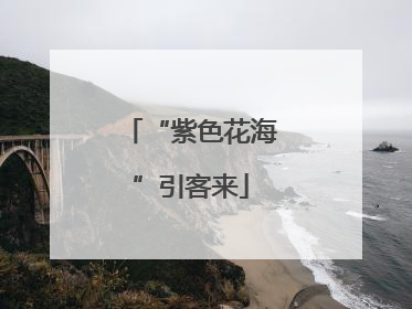 “紫色花海”引客来