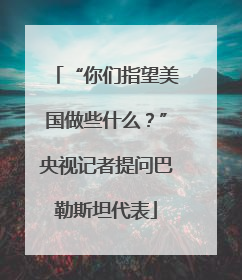 “你们指望美国做些什么？”央视记者提问巴勒斯坦代表