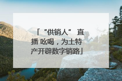 “供销人” 直播 吆喝，为土特产开辟数字销路