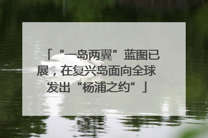 “一岛两翼”蓝图已展，在复兴岛面向全球发出“杨浦之约”