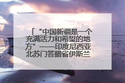 “中国新疆是一个充满活力和希望的地方”——印度尼西亚北苏门答腊省伊斯兰教代表团参访新疆