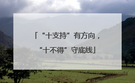 “十支持”有方向，“十不得”守底线