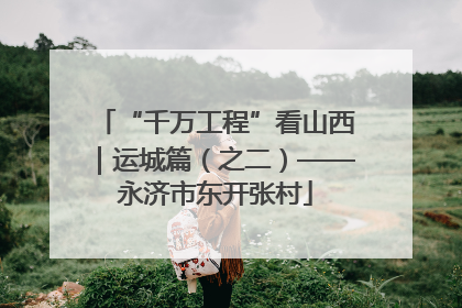 “千万工程”看山西｜运城篇（之二）——永济市东开张村