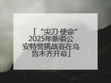 “尖刀·使命”2025年新疆公安特警挑战赛在乌鲁木齐开幕