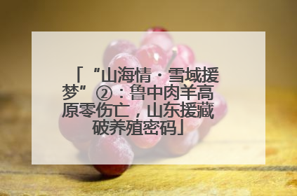 “山海情・雪域援梦”②：鲁中肉羊高原零伤亡，山东援藏破养殖密码
