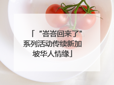 “峇峇回来了”系列活动传续新加坡华人情缘