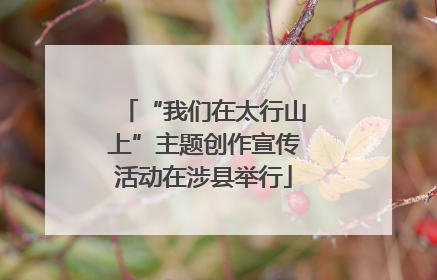 “我们在太行山上”主题创作宣传活动在涉县举行