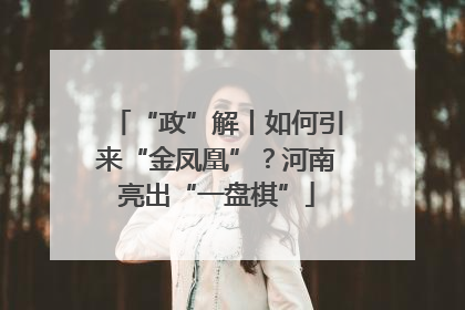 “政”解丨如何引来“金凤凰”？河南亮出“一盘棋”