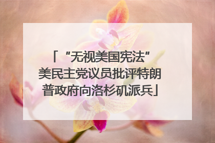 “无视美国宪法” 美民主党议员批评特朗普政府向洛杉矶派兵