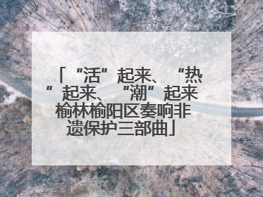 “活”起来、“热”起来、“潮”起来 榆林榆阳区奏响非遗保护三部曲