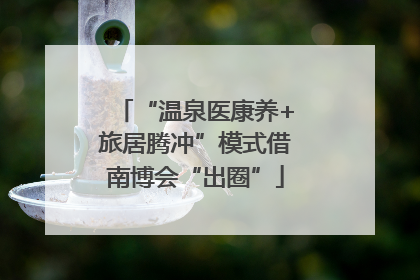 “温泉医康养+旅居腾冲”模式借南博会“出圈”