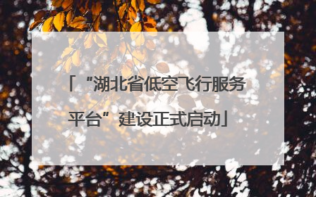 “湖北省低空飞行服务平台”建设正式启动