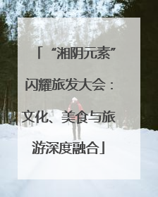 “湘阴元素”闪耀旅发大会：文化、美食与旅游深度融合