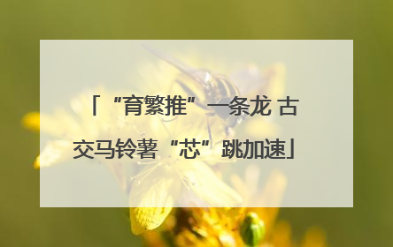 “育繁推”一条龙 古交马铃薯“芯”跳加速
