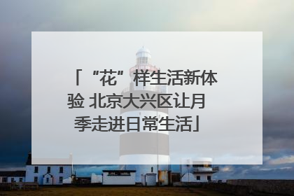 “花”样生活新体验 北京大兴区让月季走进日常生活