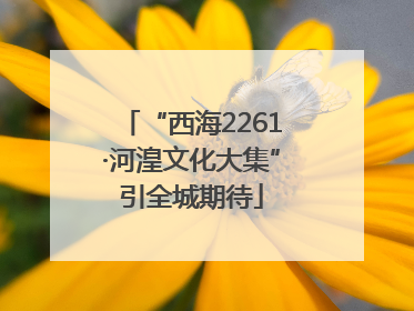 “西海2261·河湟文化大集”引全城期待