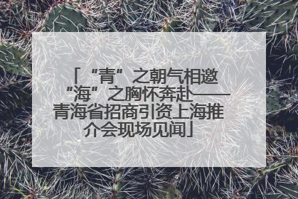 “青”之朝气相邀 “海”之胸怀奔赴——青海省招商引资上海推介会现场见闻