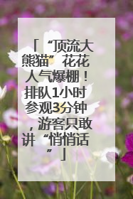 “顶流大熊猫”花花人气爆棚！排队1小时参观3分钟，游客只敢讲“悄悄话”