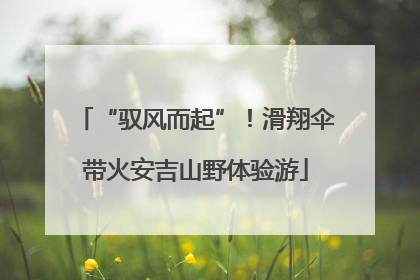 “驭风而起”！滑翔伞带火安吉山野体验游