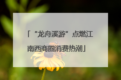 “龙舟溪游”点燃江南西商圈消费热潮