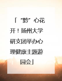 “黔”心花开！扬州大学研支团举办心理健康主题游园会