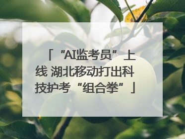 “AI监考员”上线 湖北移动打出科技护考“组合拳”