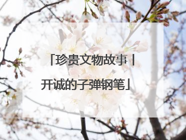 珍贵文物故事丨开诚的子弹钢笔