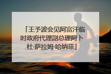 王予波会见阿富汗临时政府代理副总理阿卜杜·萨拉姆·哈纳菲