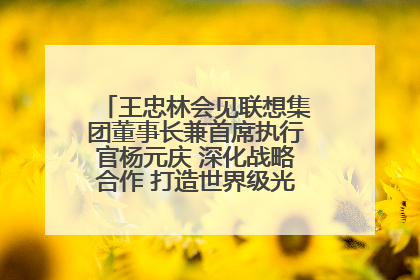 王忠林会见联想集团董事长兼首席执行官杨元庆 深化战略合作 打造世界级光电子信息产业集群