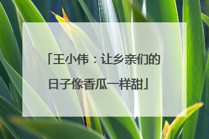 王小伟：让乡亲们的日子像香瓜一样甜