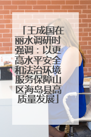 王成国在丽水调研时强调：以更高水平安全和法治环境服务保障山区海岛县高质量发展