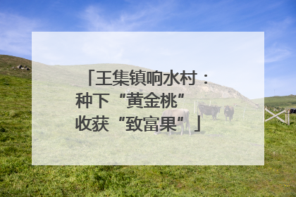 王集镇响水村：种下“黄金桃” 收获“致富果”
