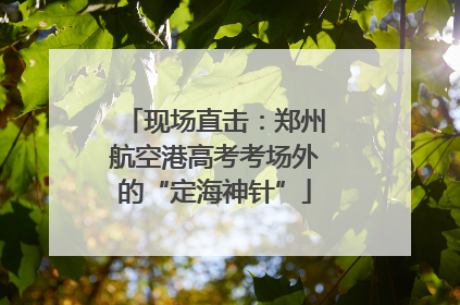 现场直击：郑州航空港高考考场外的“定海神针”