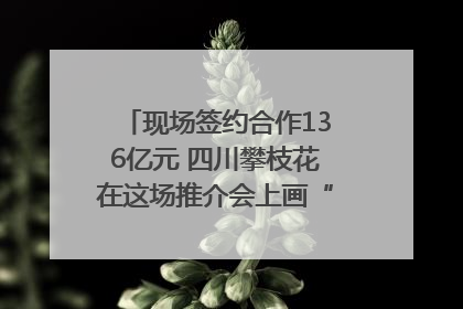 现场签约合作136亿元 四川攀枝花在这场推介会上画“图谱”列“清单”