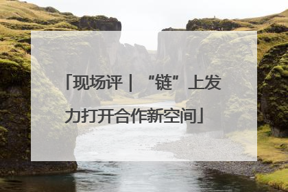 现场评｜“链”上发力打开合作新空间
