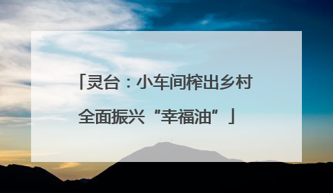 灵台：小车间榨出乡村全面振兴“幸福油”
