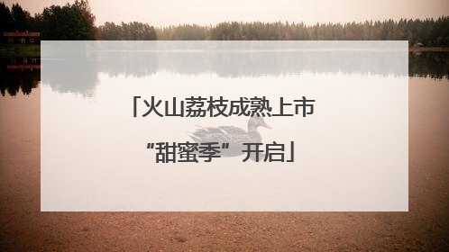 火山荔枝成熟上市 “甜蜜季”开启